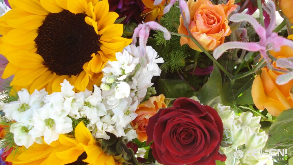 Amerika, USA, San Francisco, Heart of the City Farmers Market, Flower Power, Blumen