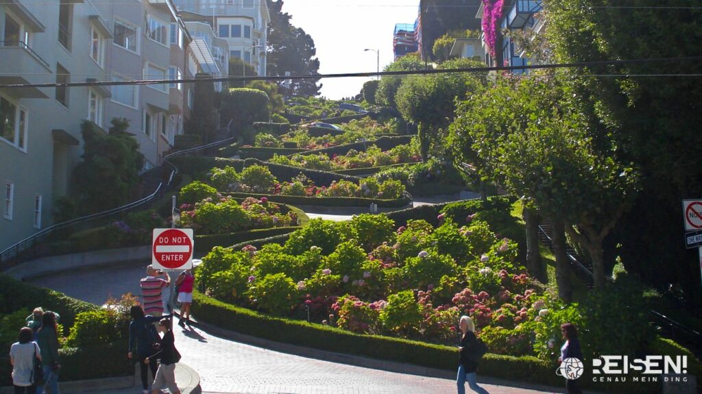 Amerika, USA, San Francisco, Lombard Street, Blumenstraße