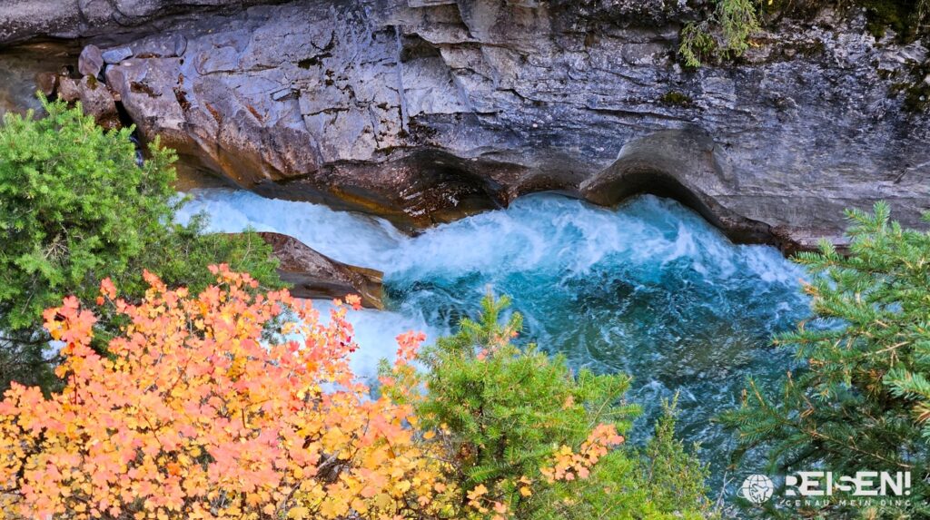 Canada - Calgary und Banff 13 Canada, Calgary, Banff, Johnston Canyon, Stromschnellen