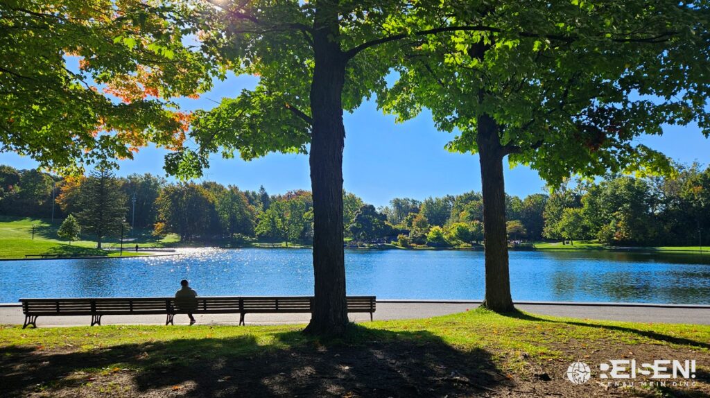 Canada, Montreal, Mount Royal, Parc du Mount Royal, Lac aux Castors