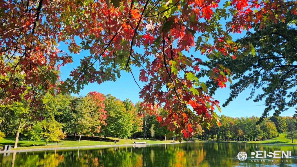 Canada, Montreal, Mount Royal, Parc du Mount Royal, Lac aux Castors, red